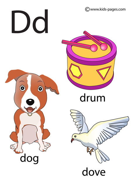 Letter d flashcard