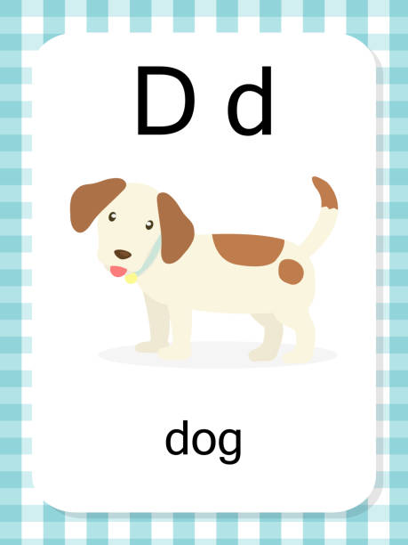 Flashcard alphabet d is for dog stock illustrations royalty