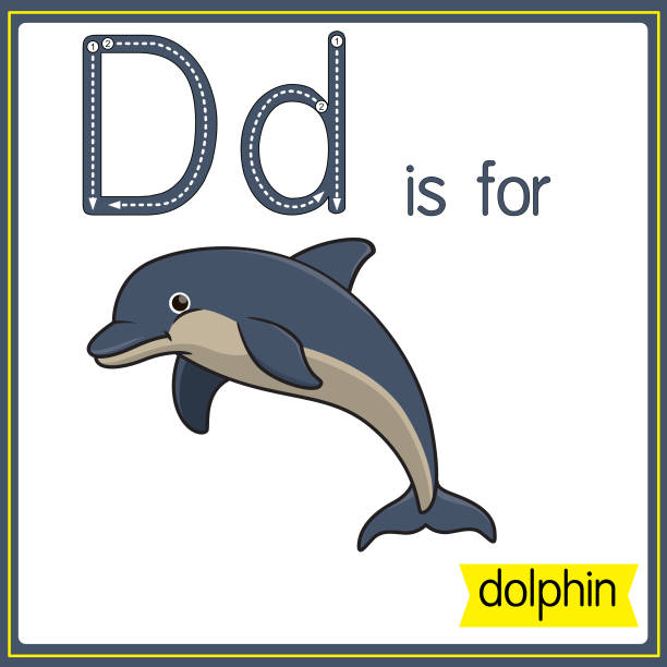 Flashcard letter d is for dolphin stock illustrations royalty