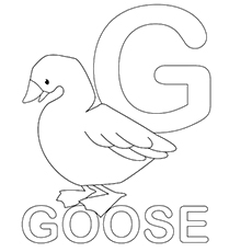 Top free printable letter g coloring pages online