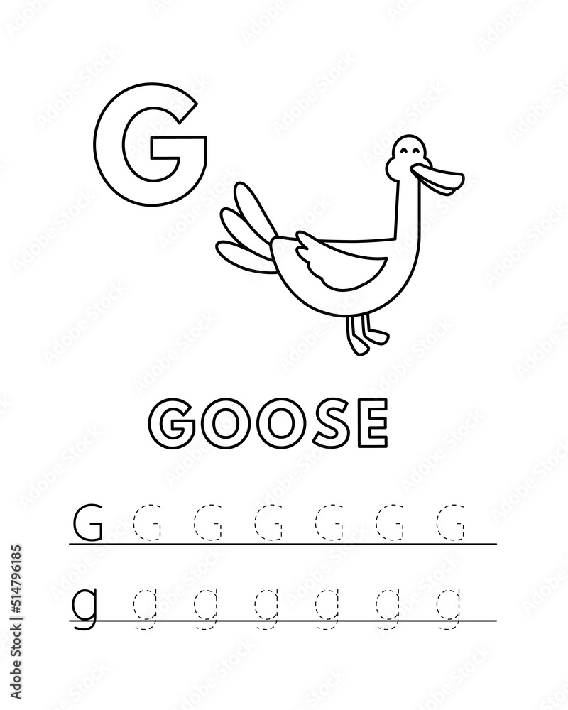 Alphabet with cute cartoon animals isolated on white background coloring pages for children education vector illustration of goose and tracing practice worksheet letter g vector