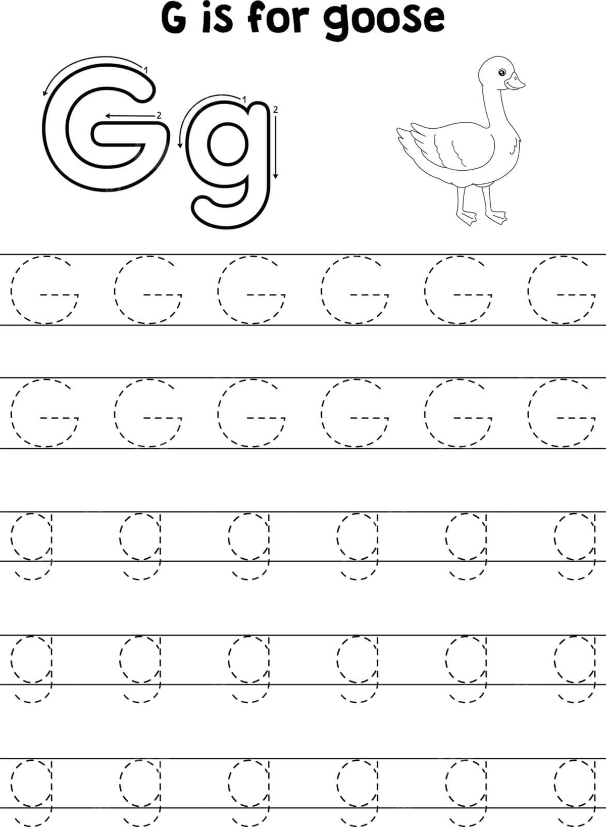 Abc coloring page with traced letters of a goose animal letter g vector school outline coloring book png and vector with transparent background for free download