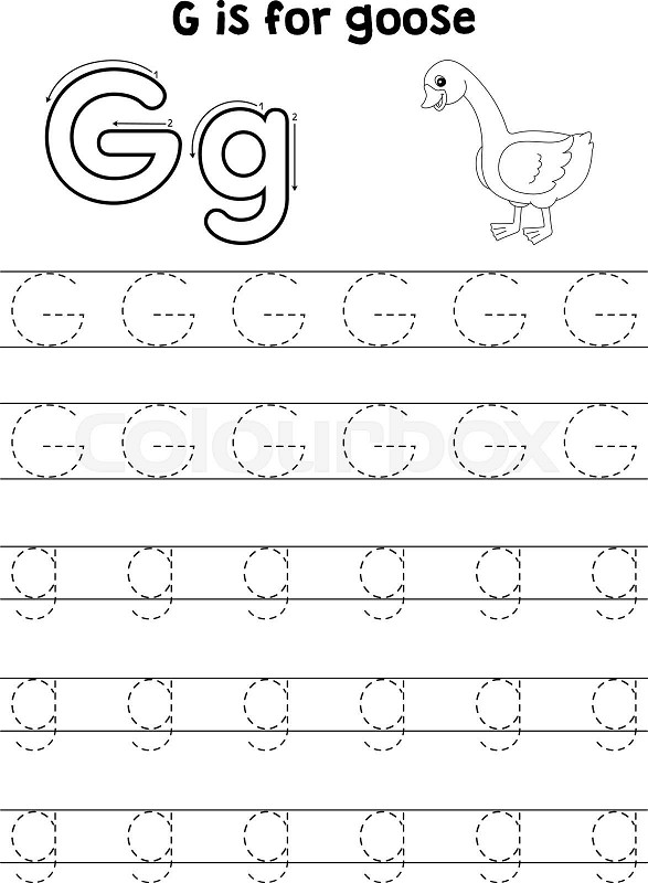 Goose animal tracing letter abc coloring page g stock vector