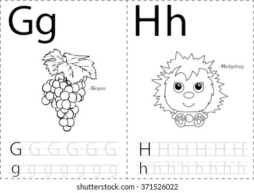 Cartoon grapes hedgehog alphabet tracing worksheet stock vector royalty free