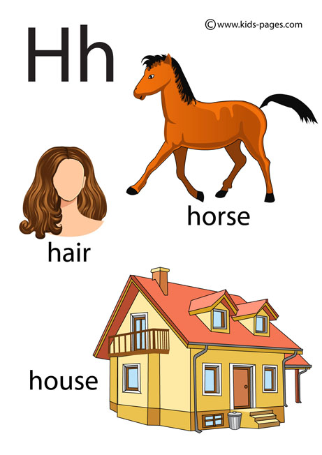Letter h flashcard