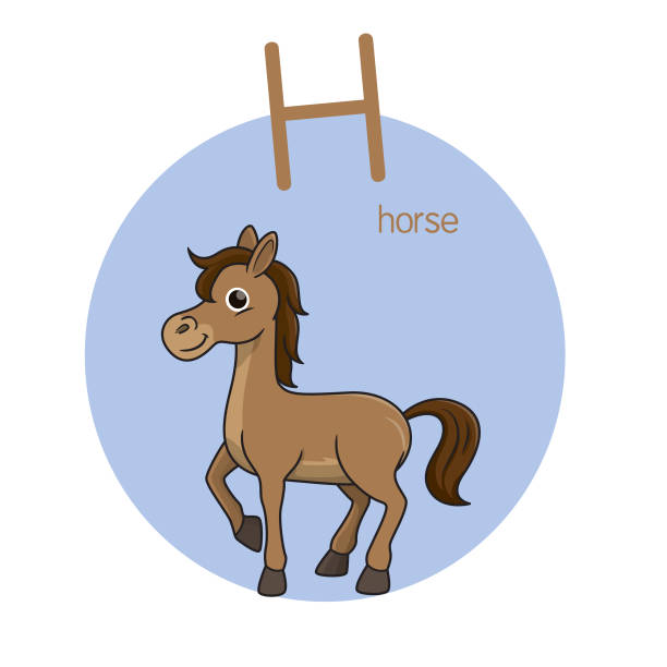 Flashcard letter h is for horse stock illustrations royalty