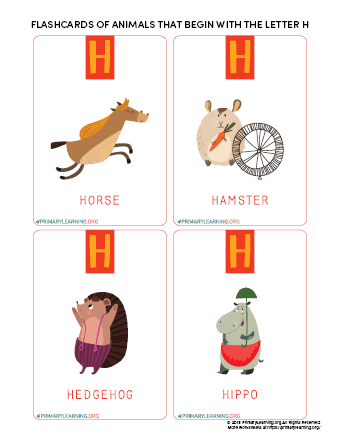 Flashcards of animals that begin with the letter h