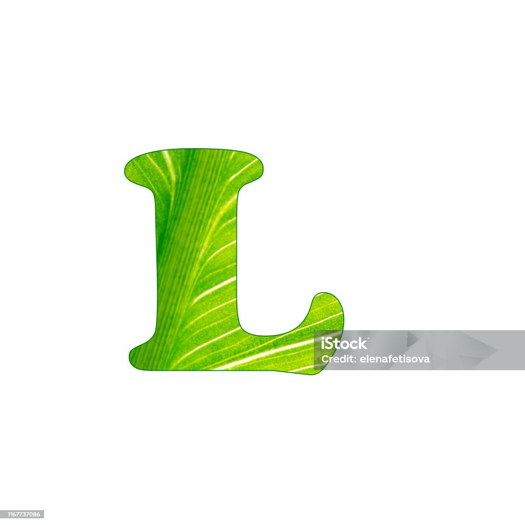The green plant letter l letters cut of the background of green sheet stock photo