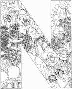 Letter n coloring pages free coloring pages