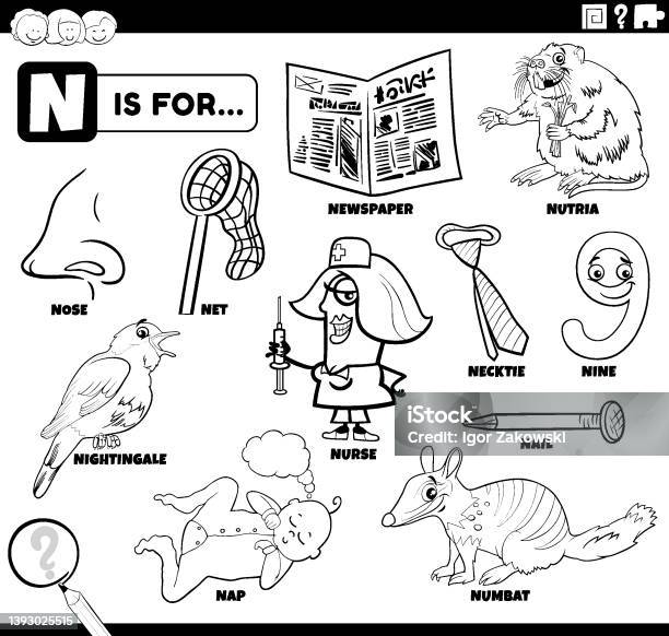 Letter n words educational set coloring book page stock illustration