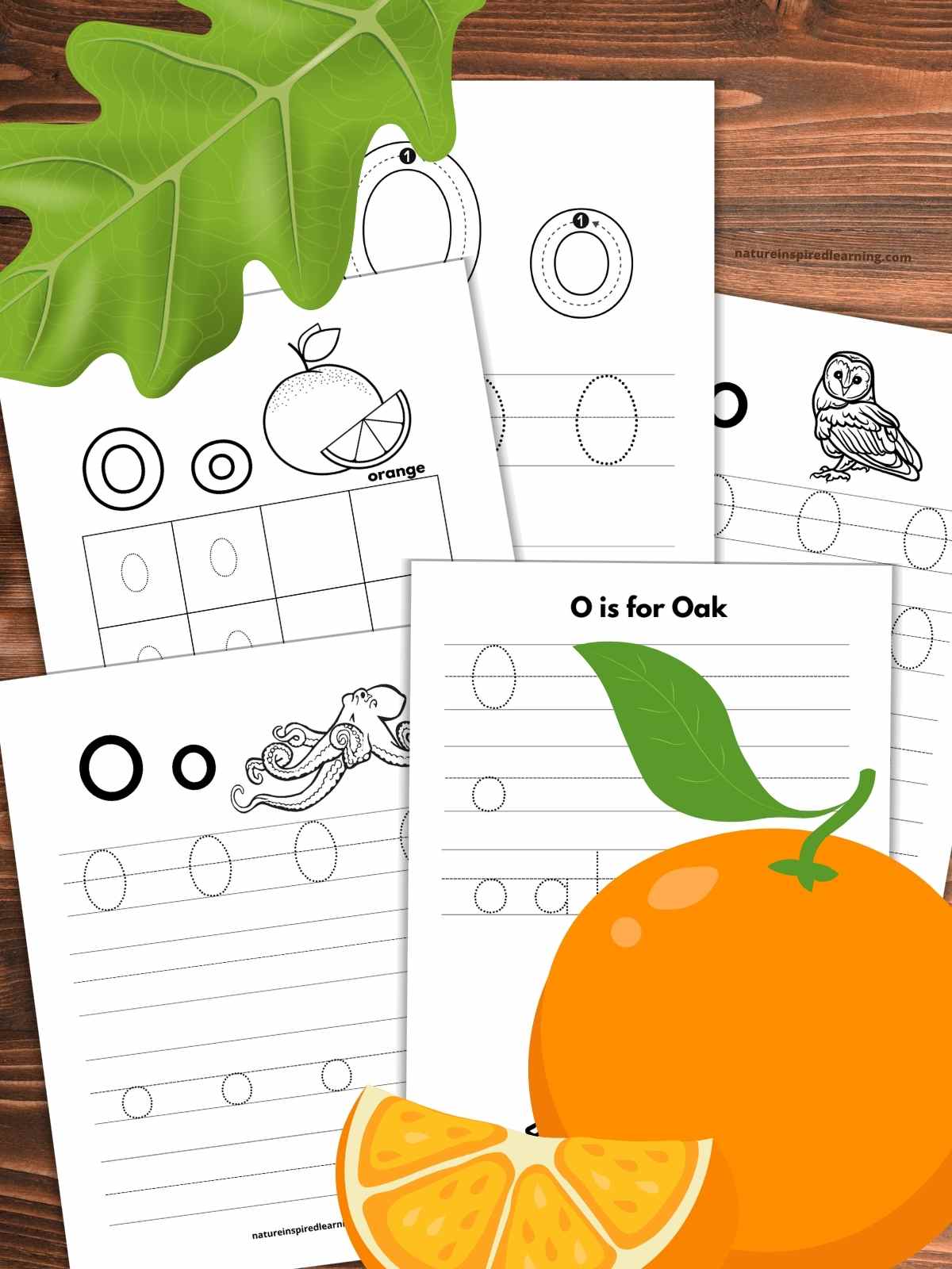 Free letter o tracing worksheets