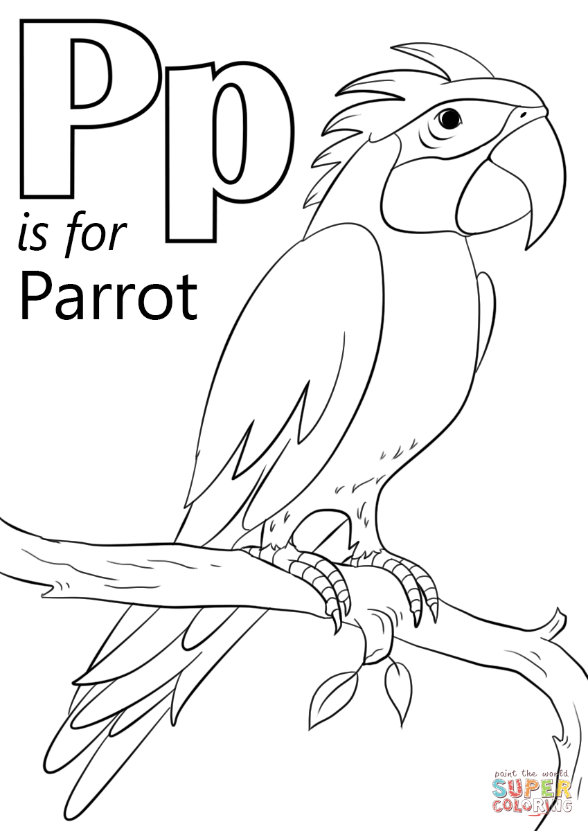 Letter p is for parrot coloring page from letter p category select from printable crâ alphabet coloring pages preschool coloring pages abc coloring pages