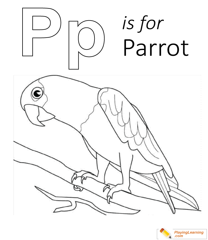 P is for parrot coloring page free p is for parrot coloring page