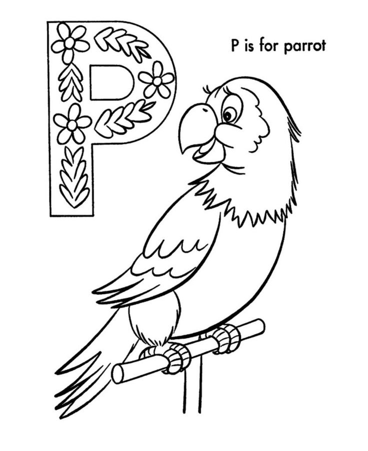Coloringrocks pirate coloring pages animal coloring pages bird coloring pages