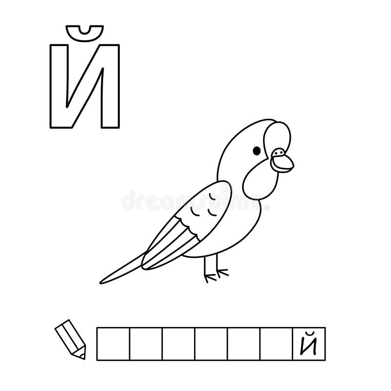 Parrot word stock illustrations â parrot word stock illustrations vectors clipart