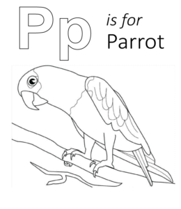 Letter m through z uppercase lowercase coloring playing learning