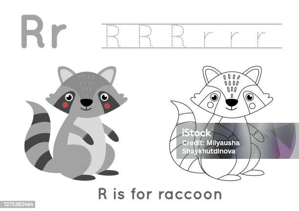 Coloring and tracing page with letter r and cute cartoon raccoon stock illustration