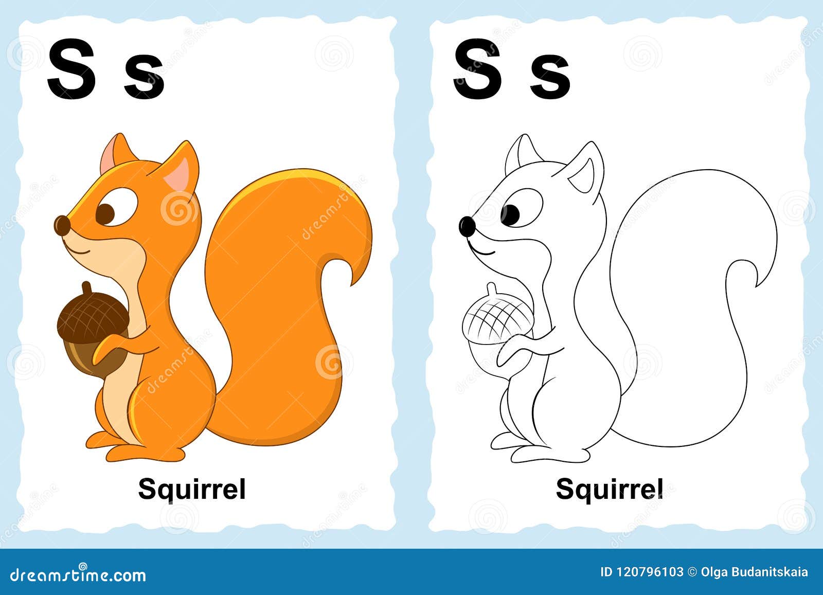 Alphabet coloring book page with outline clip art to color letter s squirrel stock vector
