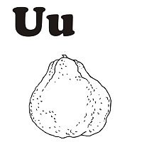 U is for ugli coloring pages
