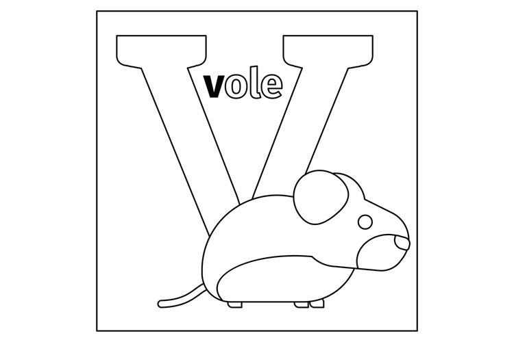 Vole letter v coloring page