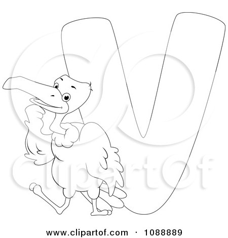 Clipart outlined v is for vulture coloring page