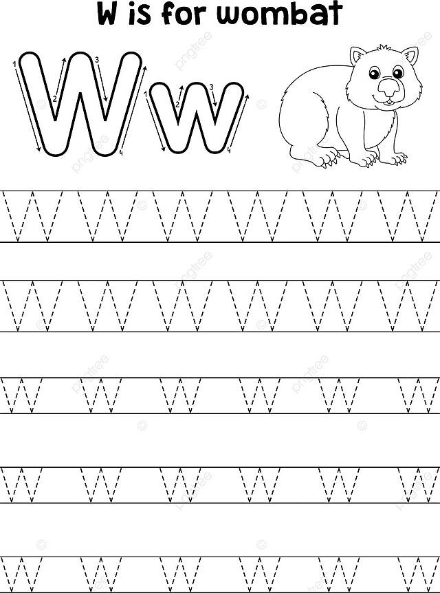 Abc coloring page of a wombat animal with tracing letters and w vector coloring coloring book animal png and vector with transparent background for free download