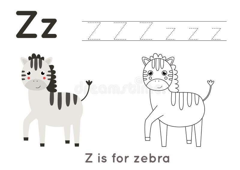 Coloring and tracing page with letter z and cute cartoon zebra stock vector