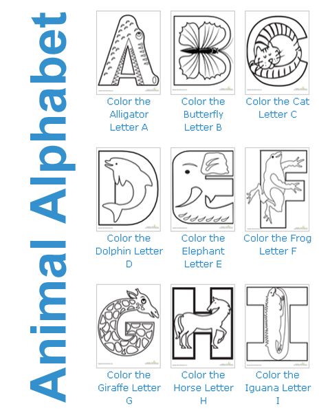 Color the animal alphabet