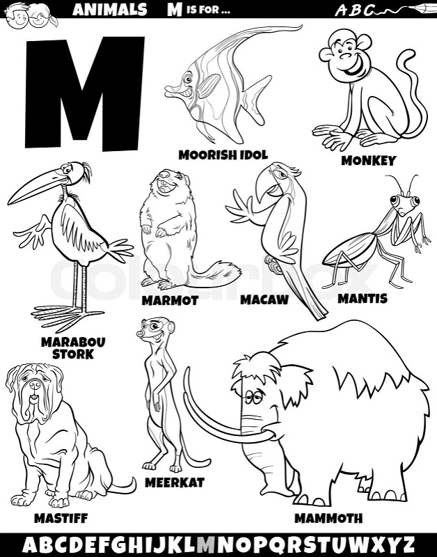 Cartoon animal characters for letter m set coloring page stock vector