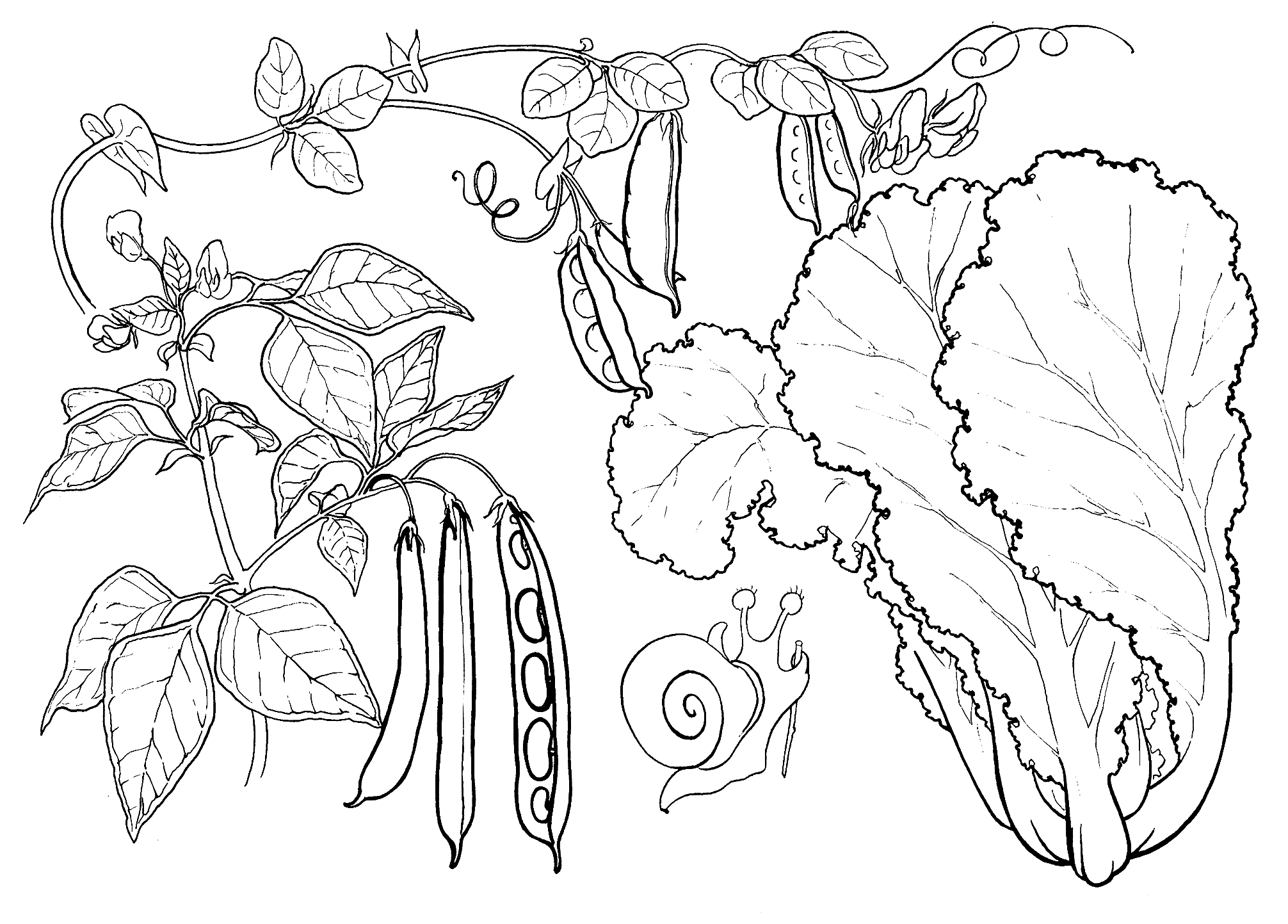 Coloring page