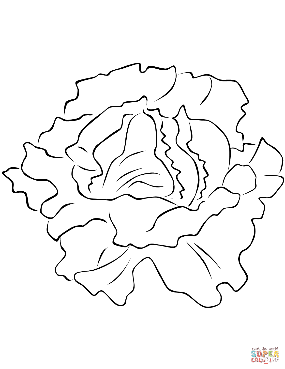 Lettuce coloring page free printable coloring pages