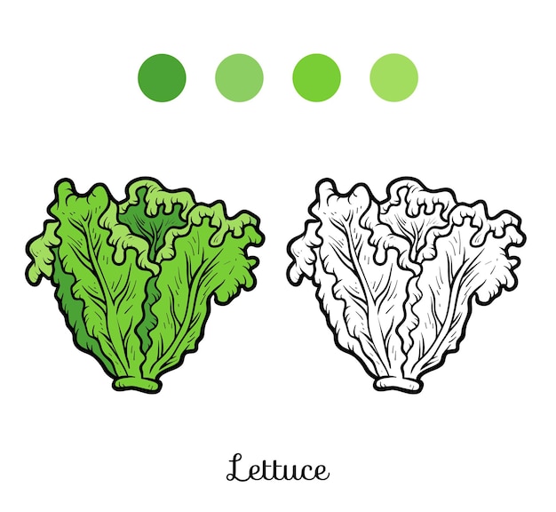 Premium vector coloring book for children lettuce