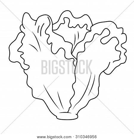 Lettuce silhouette vector photo free trial bigstock