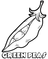 Lettuce printable coloring page for prechooler