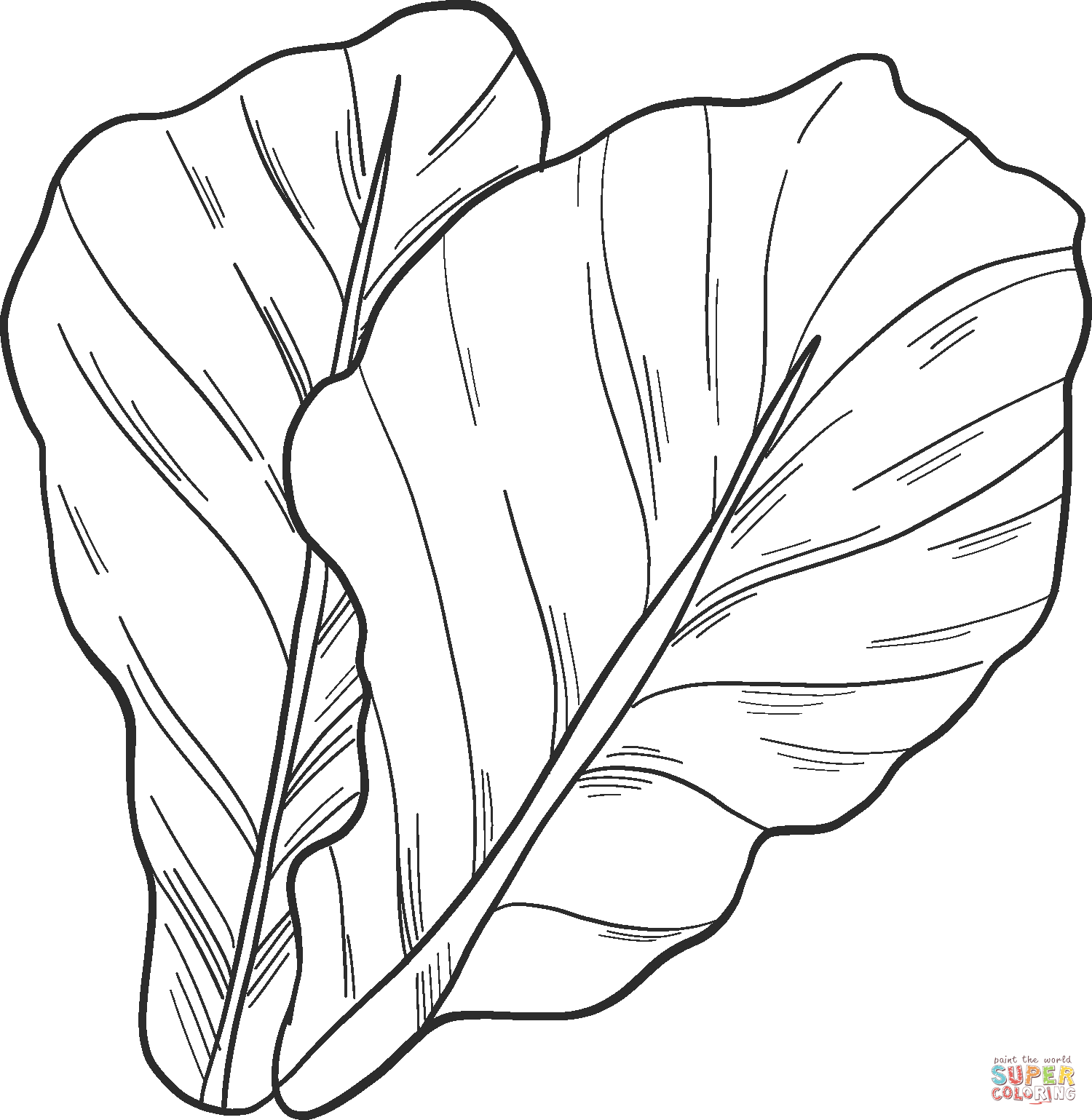 Salad coloring page free printable coloring pages