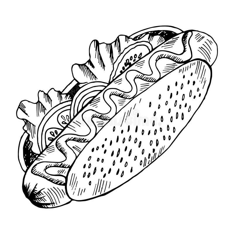Lettuce coloring page stock illustrations â lettuce coloring page stock illustrations vectors clipart
