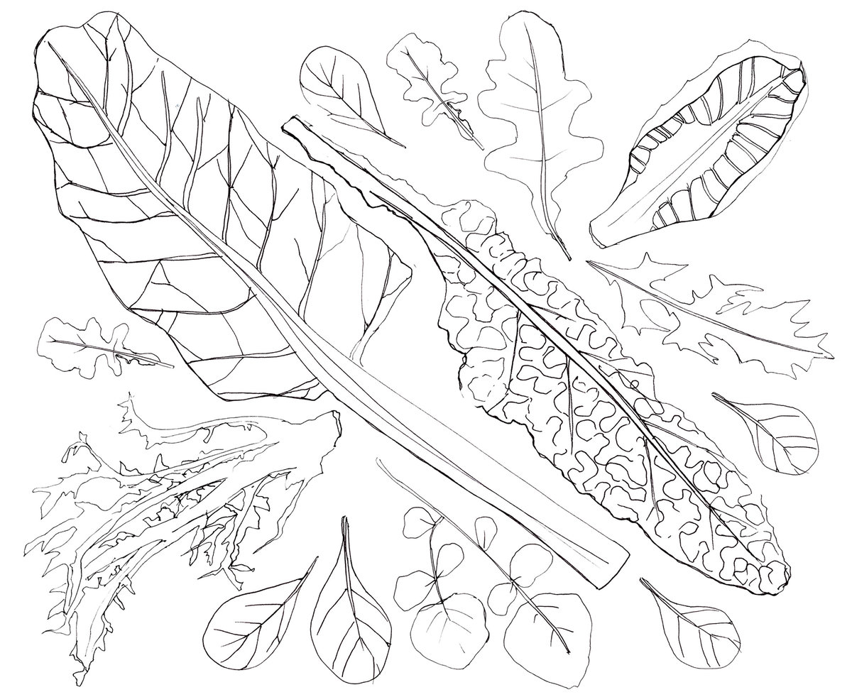 Food coloring book