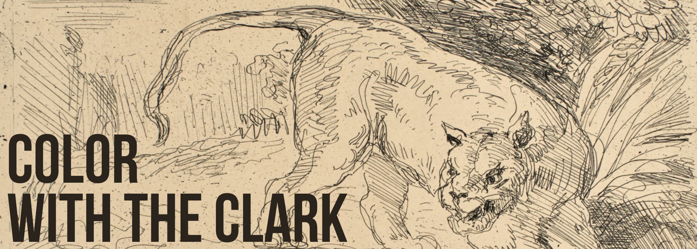 Clark with the clark