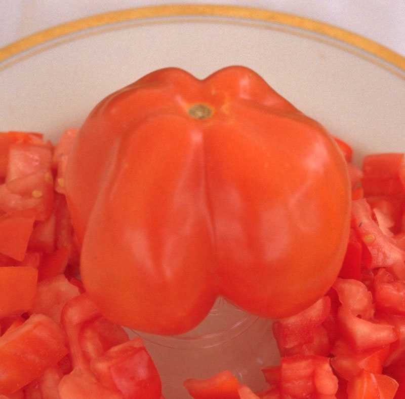 Liberty bell organic heirloom tomato seeds