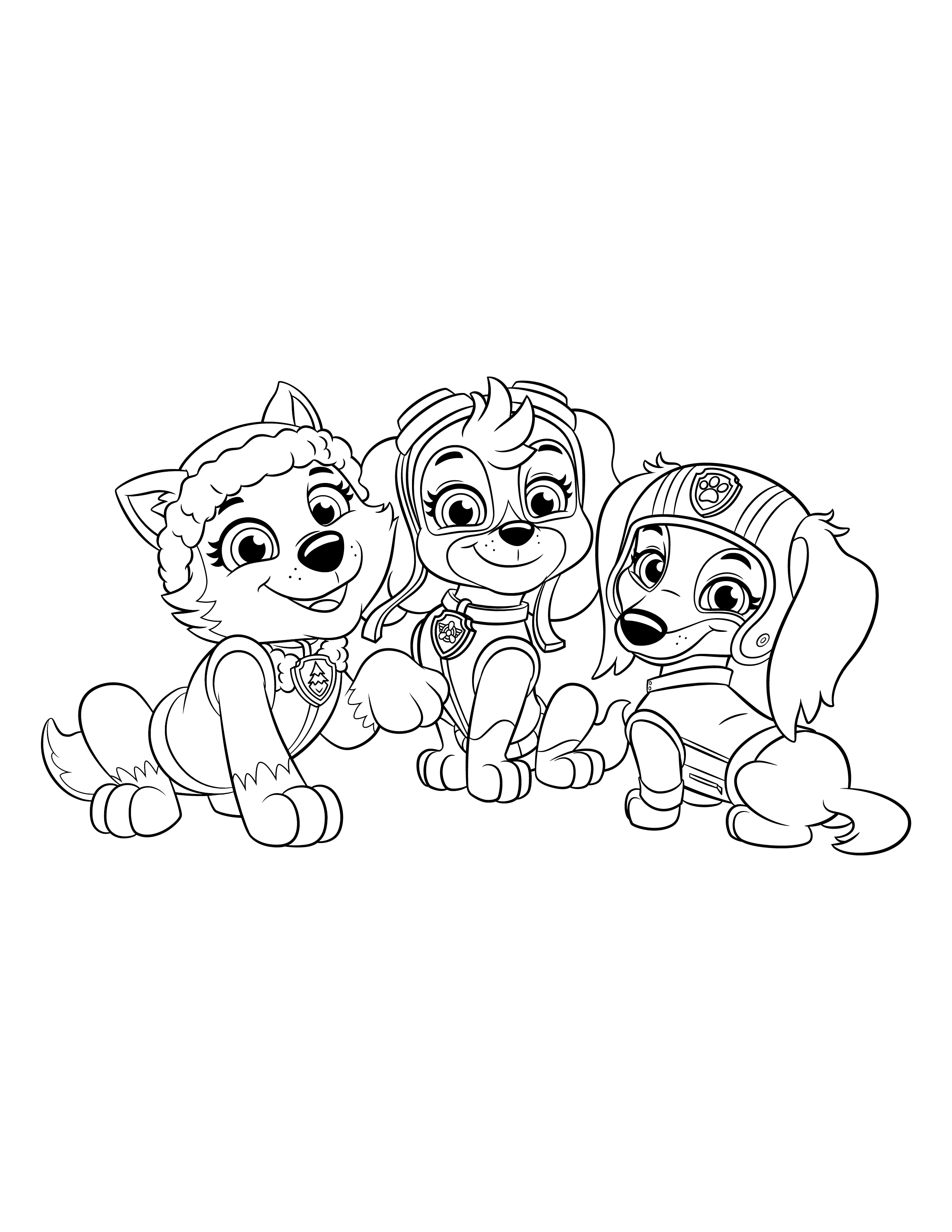 Learn about liberty paw patrol