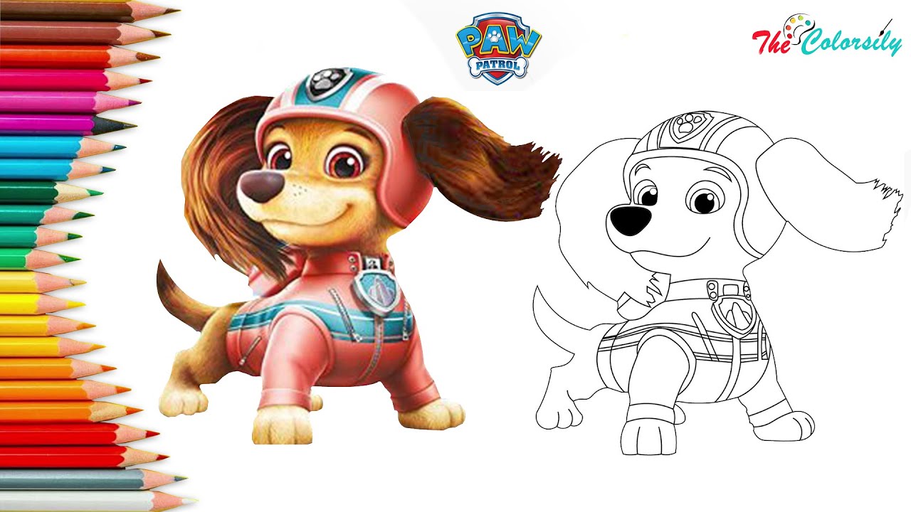 How to draw paw patrol liberty the new pup liberty from paw patrol characters ð easy drawing