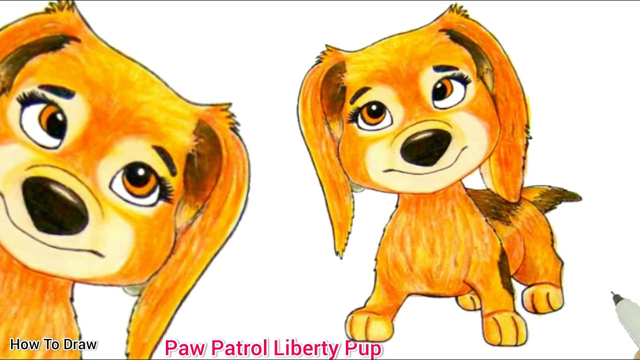 Watch paw patrol movie meet the new pup liberty how to draw liberty from paw patrol