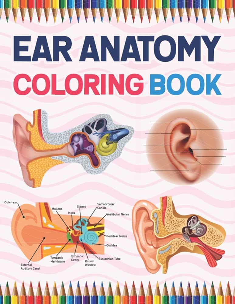 Ear anatomy coloring book human ear anatomy workbook for kids human ear anatomy coloring pag for kids toddlers teens human body students and activity book for kids toddlers publication
