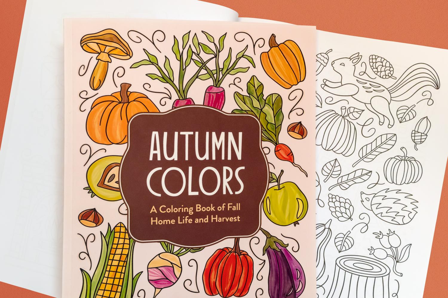 Publica un libro para colorear cãmo ilustrar y vender tu libro en lãnea molly suber thorpe