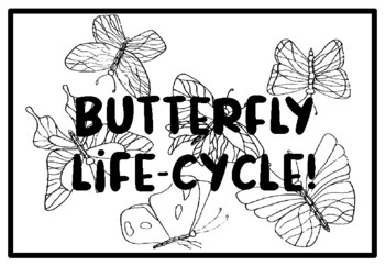 Butterfly life