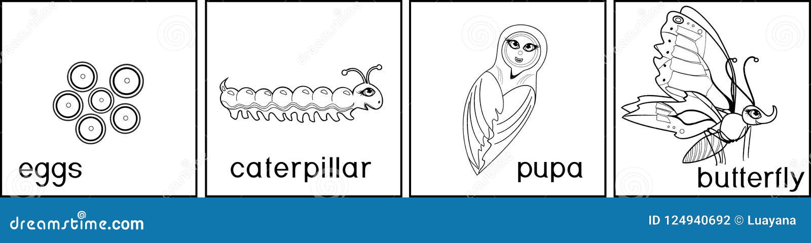 Coloring page life cycle of butterfly stock vector