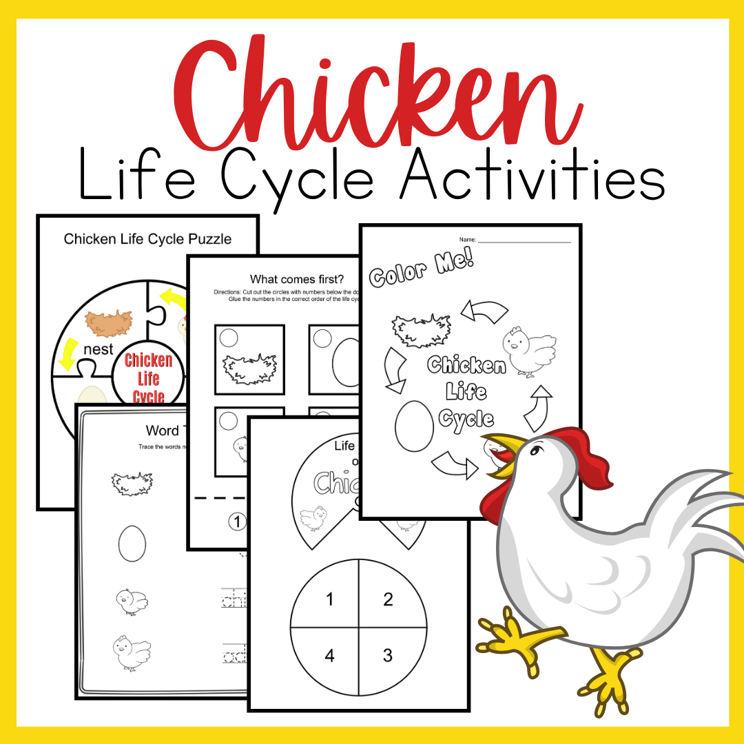 Life cycle of a chicken preschool printables