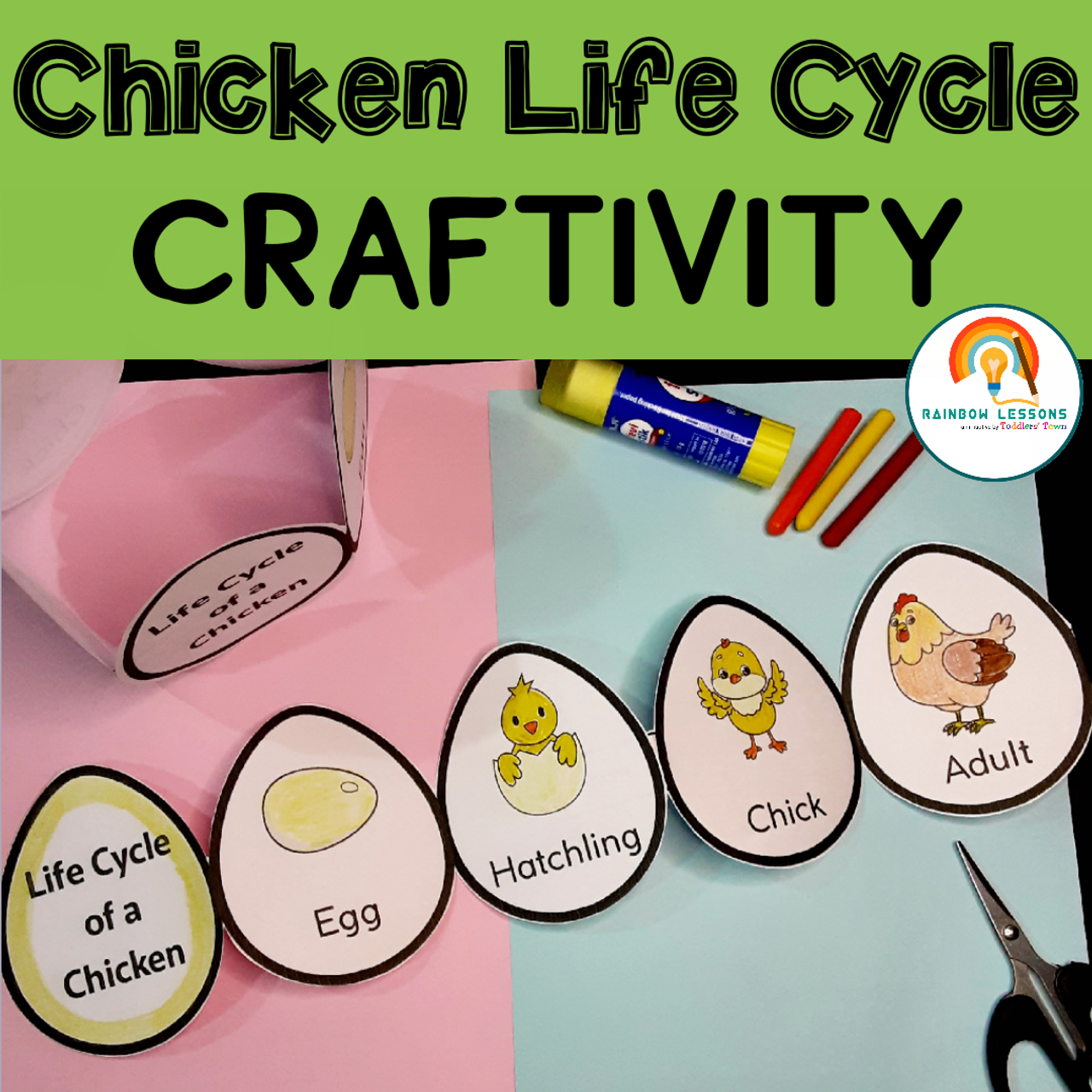 Chicken life cycle craft life cycle of a chicken life cycle of chicken craft