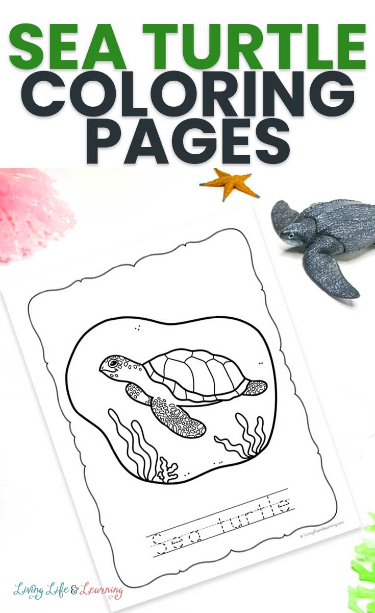Sea turtle coloring pages