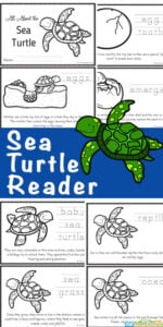 Ð free life cycle of a sea turtle for kids printable reader